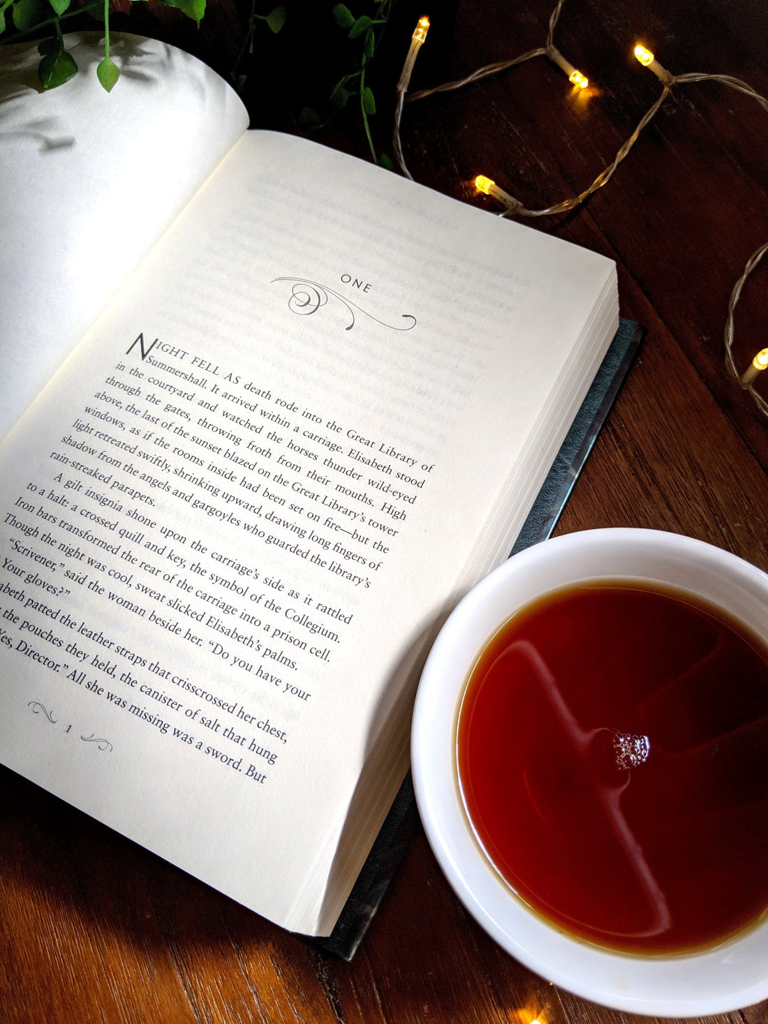 How to Review A Novel: A Reader's Guide to Writing A Book Review