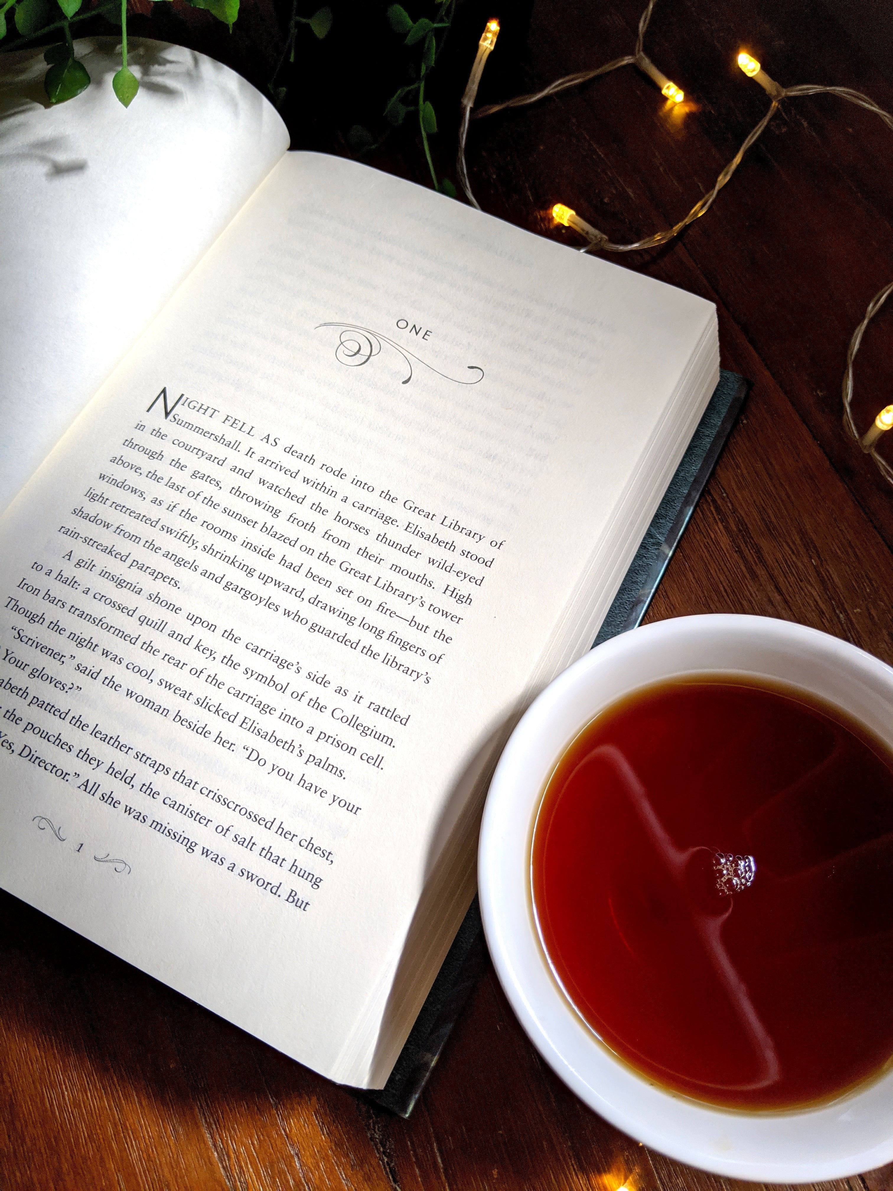 How to Review A Novel: A Reader's Guide to Writing A Book Review