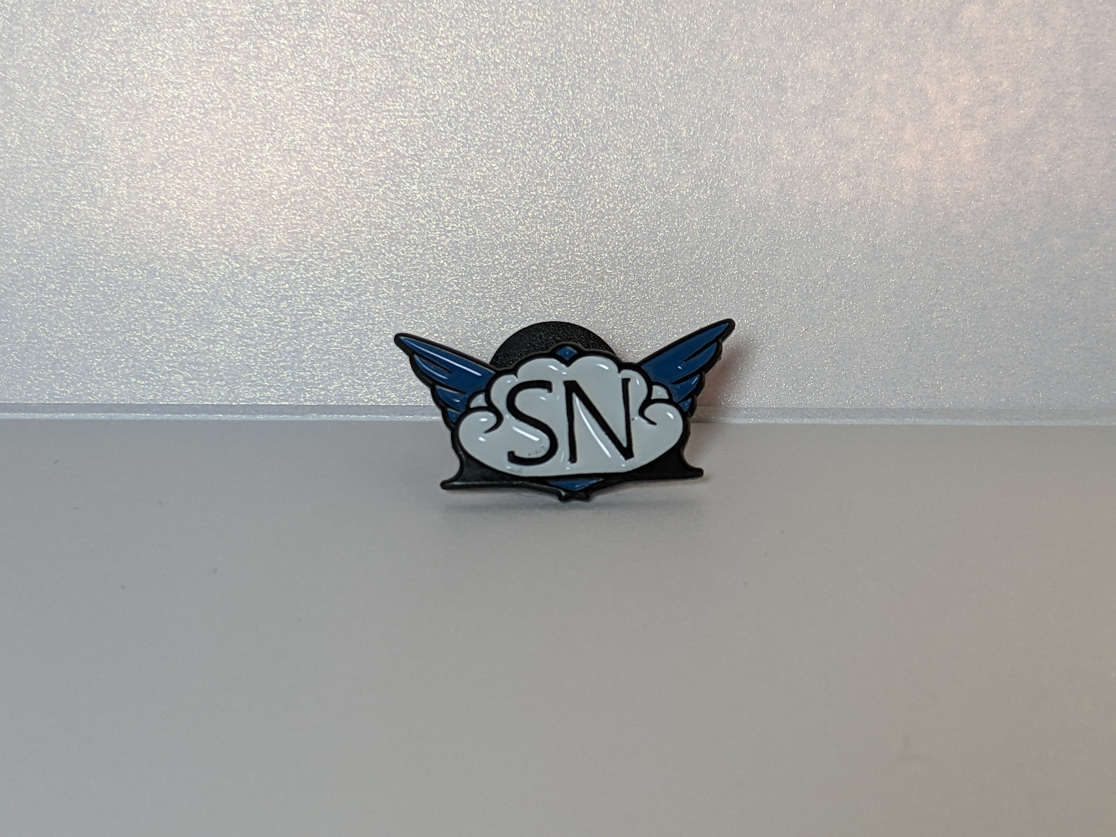 SkyNation Publishing Pin