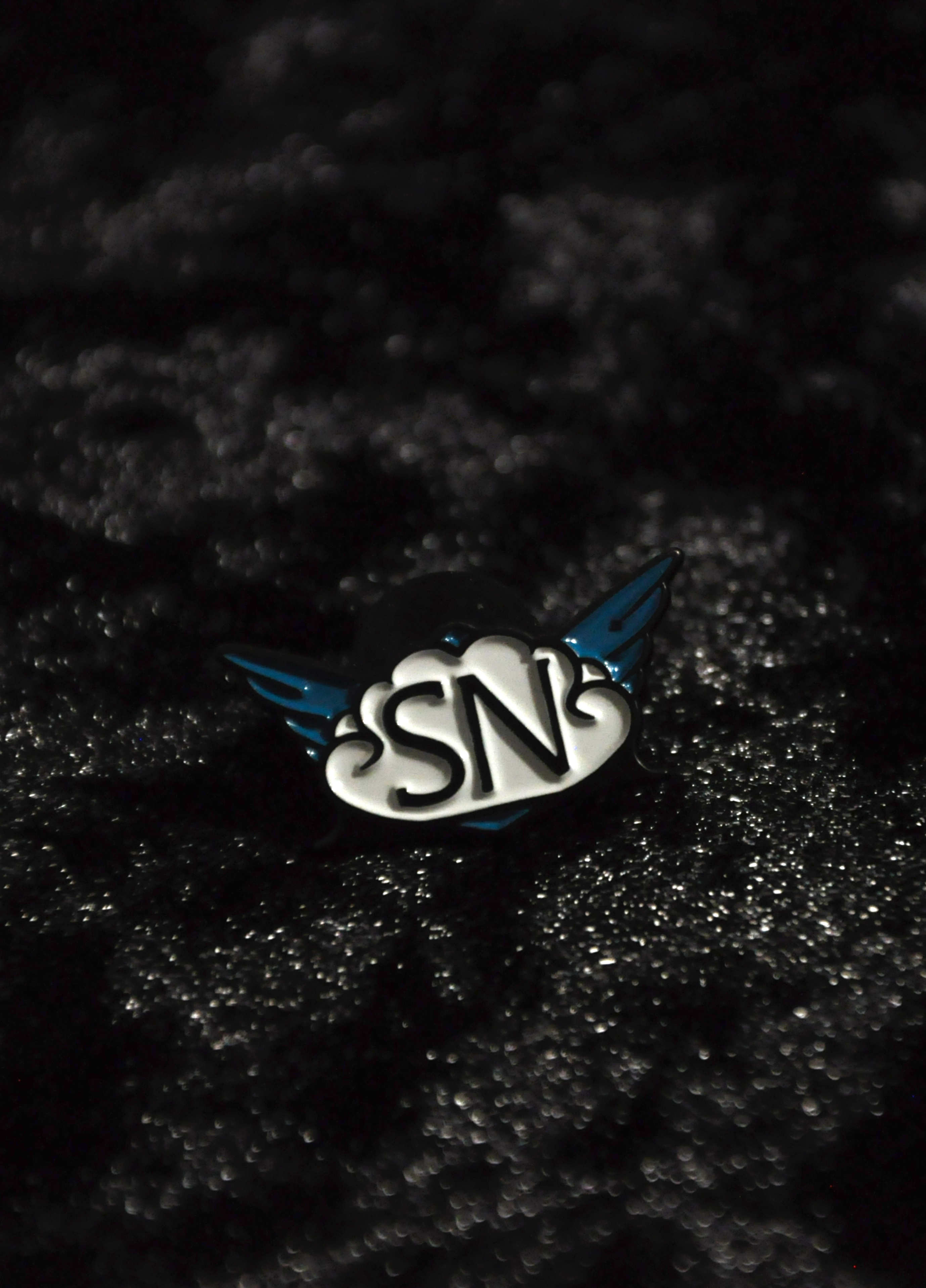 SkyNation Publishing Pin